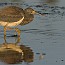 thumbs/IMG_0920.jpg